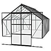 Vitavia Gewächshaus Cassandra 9900 Plus (3,85 x 2,57 x 2,49 m, Farbe: Schwarz, Einscheibensicherheitsglas (ESG))