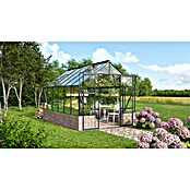 Vitavia Gewächshaus Cassandra 9900 (3,85 x 2,57 x 2,49 m, Farbe: Schwarz, Einscheibensicherheitsglas (ESG))