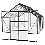 Vitavia Gewächshaus Cassandra 9900 (3,85 x 2,57 x 2,49 m, Farbe: Schwarz, Einscheibensicherheitsglas (ESG))