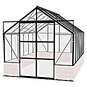 Vitavia Gewächshaus Cassandra 9900 (3,85 x 2,57 x 2,49 m, Farbe: Schwarz, Einscheibensicherheitsglas (ESG))