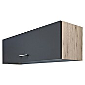 Flex-Well Tiago Hängeschrank (B x T x H: 100 x 32 x 32 cm, Basaltgrau matt) | BAUHAUS