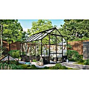 Vitavia Gewächshaus Cassandra 8300 (Außenmaß inkl. Dachüberstand (B x T): 257 x 323 cm, 3 mm, Schwarz/ Basalt) | BAUHAUS