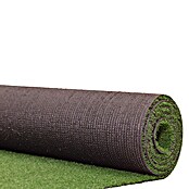 Césped artificial Azores (5 x 2 m, Altura del pelo: 7 mm, 70.000 puntadas/m²) | BAUHAUS