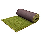 Césped artificial Bahia (10 x 2 m, Altura del pelo: 18 mm, 26.250 puntadas/m²) | BAUHAUS
