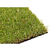 Césped artificial Bahia (10 x 2 m, Altura del pelo: 18 mm, 26.250 puntadas/m²) | BAUHAUS