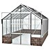 Vitavia Gewächshaus Cassandra 11500 Plus 