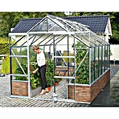 Vitavia Gewächshaus Cassandra 9900 (3,85 x 2,57 x 2,49 m, Farbe: Aluminium, Einscheibensicherheitsglas (ESG))
