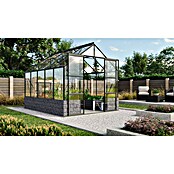 Vitavia Gewächshaus (3.231 x 2.570 x 2.489 mm, Glasstärke: 3 mm, Einscheibensicherheitsglas (ESG), Ohne Sockel)