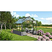 Vitavia Gewächshaus (3.231 x 2.570 x 2.489 mm, Glasstärke: 3 mm, Einscheibensicherheitsglas (ESG), Ohne Sockel)
