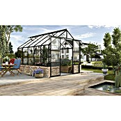 Vitavia Gewächshaus (3.231 x 2.570 x 2.489 mm, Glasstärke: 3 mm, Einscheibensicherheitsglas (ESG), Ohne Sockel)