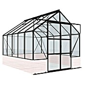 Vitavia Gewächshaus (3.231 x 2.570 x 2.489 mm, Glasstärke: 3 mm, Einscheibensicherheitsglas (ESG), Ohne Sockel)