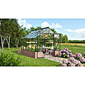 Vitavia Gewächshaus (3.231 x 2.570 x 2.489 mm, Glasstärke: 3 mm, Einscheibensicherheitsglas (ESG), Ohne Sockel)