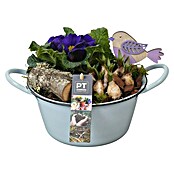 Arrangement Outdoor Preisgruppe 1 0