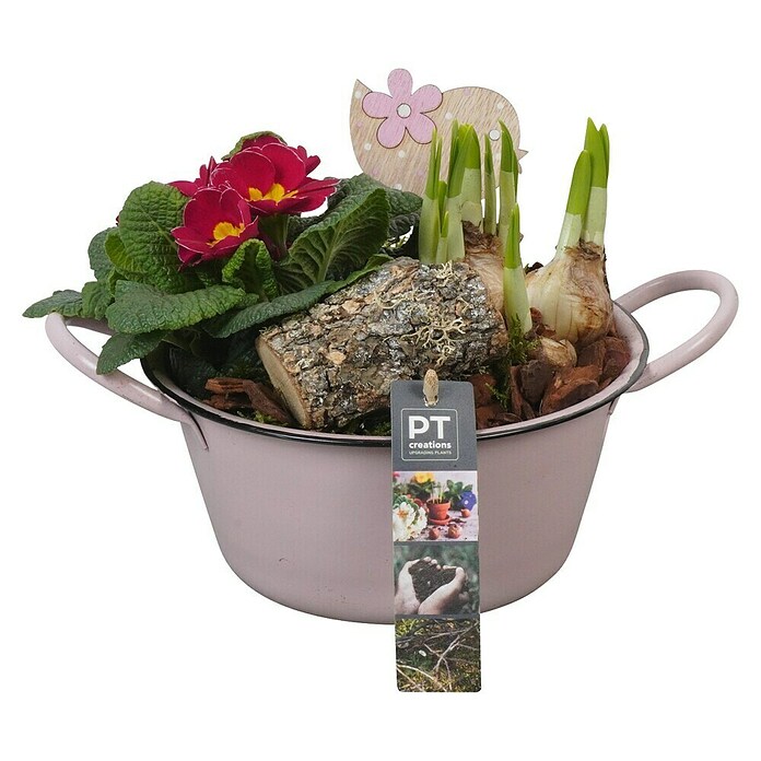 Arrangement Outdoor Preisgruppe 1 0