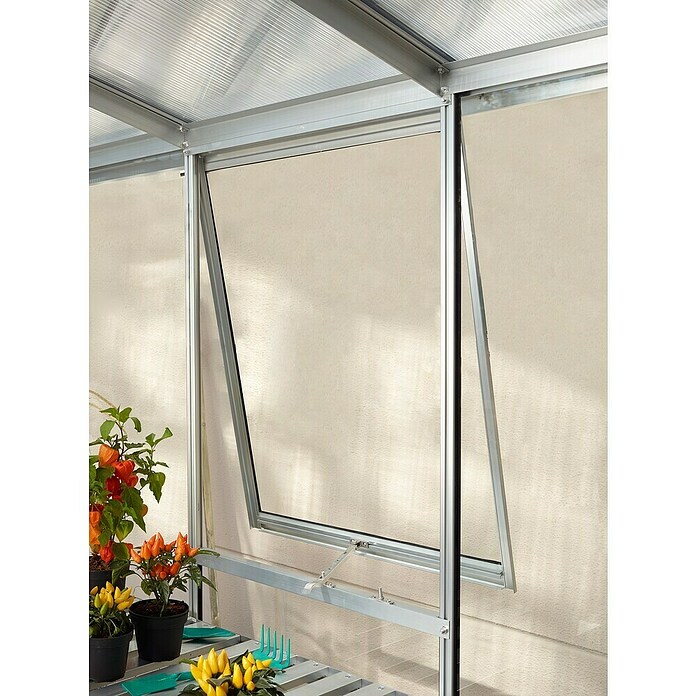 Vitavia Gewächshaus (3,85 x 2,57 x 2,49 m, Farbe: Aluminium, Sockelmauer, Farbe Stein: Sandstein, Einscheibensicherheitsglas (ESG))
