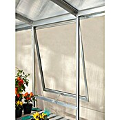Vitavia Gewächshaus (3,85 x 2,57 x 2,49 m, Farbe: Aluminium, Sockelmauer, Farbe Stein: Sandstein, Einscheibensicherheitsglas (ESG))