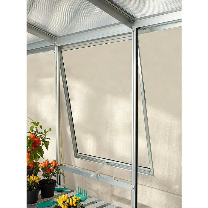 Vitavia Gewächshaus Cassandra 11500 Plus - Außenmaß inkl. Dachüberstand (B x T): 257 x 448 cm, 3 mm, Aluminium - Detailaufnahme eines Gewächshausfensters aus Aluminium, das teilweise geöffnet ist und die Belüftung des Innenraums ermöglicht.