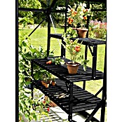 Vitavia Gewächshaus Cassandra 9900 Plus (3,85 x 2,57 x 2,49 m, Farbe: Schwarz, Einscheibensicherheitsglas (ESG))