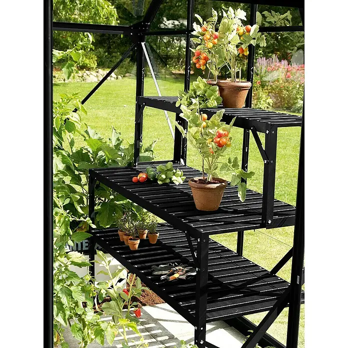 Vitavia Gewächshaus Cassandra 9900 Plus - Außenmaß inkl. Dachüberstand (B x T): 257 x 385 cm, 3 mm, Schwarz - Gewächshausregal mit Pflanzen und Gartengeräten. Das Regal bietet viel Platz für Pflanzen und Zubehör.