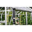 Vitavia Gewächshaus (3,85 x 2,57 x 2,49 m, Farbe: Schwarz, Sockelmauer, Farbe Stein: Sandstein, Einscheibensicherheitsglas (ESG))