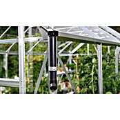 Vitavia Gewächshaus Cassandra 9900 Plus (3,85 x 2,57 x 2,49 m, Farbe: Schwarz, Einscheibensicherheitsglas (ESG))