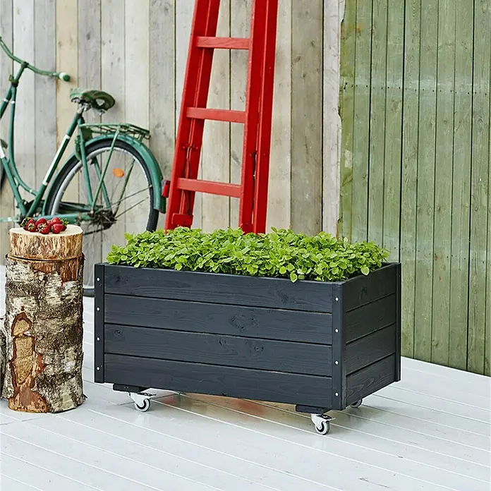 Plus Pflanzkasten - Mit Rollen, L x B x H: 88 x 48 x 47 cm - Der dunkle Pflanzkasten mit Rollen ist mit grünen Pflanzen gefüllt und steht auf einer weißen Holzterrasse.
