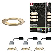 Paulmann Nova Set de focos LED empotrables redondos Coin 3-Stepdim (3 W, Oro, 3 ud., Blanco cálido) | BAUHAUS