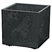 Lienbacher Pflanztopf Sierra Square (Betonoptik, B x H: 38 x 38 cm, Kunststoff, Schwarz) | BAUHAUS