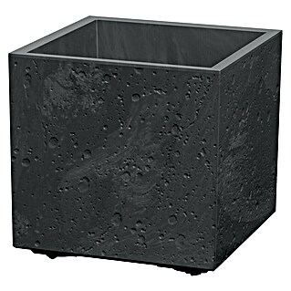 Lienbacher Pflanztopf Sierra Square (Betonoptik, B x H: 38 x 38 cm, Kunststoff, Schwarz)