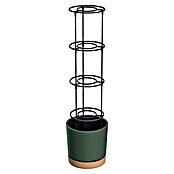 Lienbacher Tomatenturm Home Grower (Durchmesser: 29 cm, Grün, Natur) | BAUHAUS