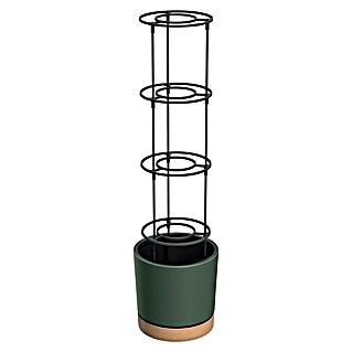 Lienbacher Tomatenturm Home Grower (Durchmesser: 29 cm, Grün, Natur)