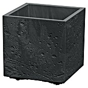 Lienbacher Pflanztopf Sierra Square (Betonoptik, B x H: 28 x 28 cm, Kunststoff, Schwarz) | BAUHAUS