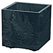 Lienbacher Pflanztopf Sierra Square (Betonoptik, B x H: 28 x 28 cm, Kunststoff, Anthrazit) | BAUHAUS