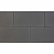 Betontegel Opritsteen Zwart (Beton, l x b x d: 30 x 60 x 6 cm, Zwart) | BAUHAUS