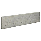 Opsluitband Grijs (l x b x d: 100 x 20 x 10 cm, Grijs, Beton) | BAUHAUS