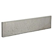 Opsluitband Grijs (l x b x d: 100 x 20 x 10 cm, Grijs, Beton) | BAUHAUS