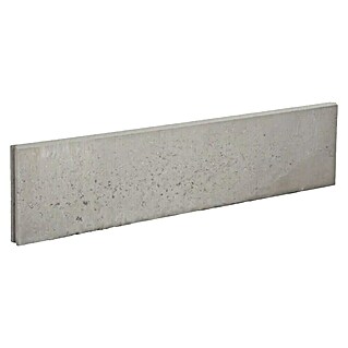 Opsluitband Grijs (Beton, l x b x d: 100 x 20 x 10 cm, Grijs)