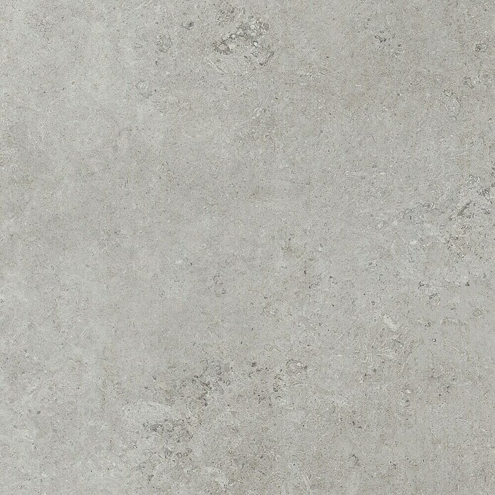 Pavimento porcelánico Limestone (90 x 90 cm, Gris, Mate, Rectificado) | BAUHAUS