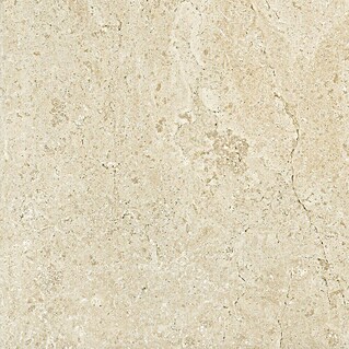 Pavimento porcelánico Ostuni (60 x 60 cm, Beige, Mate, Rectificado)
