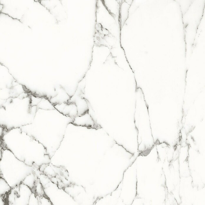 BHS Showroom Pavimento porcelánico Carrara (90 x 90 cm, Blanco, Mate, Rectificado) | BAUHAUS