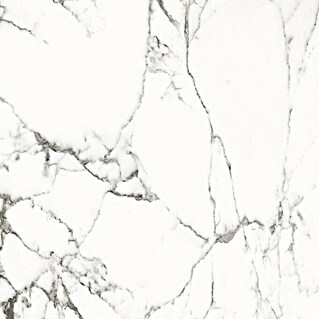 BHS Showroom Pavimento porcelánico Carrara (90 x 90 cm, Blanco, Mate, Rectificado)