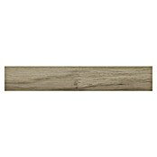 Pavimento porcelánico Kenia (20 x 120 cm, Natural, Mate, Rectificado) | BAUHAUS