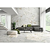 BHS Showroom Pavimento porcelánico Mármore Paraná (90 x 90 cm, Blanco, Mate, Rectificado) | BAUHAUS