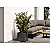 Deroma Millennium Pflanzkasten (Außenmaß (L x B x H): 39 x 39 x 39 cm, Kunststoff, Anthrazit) | BAUHAUS