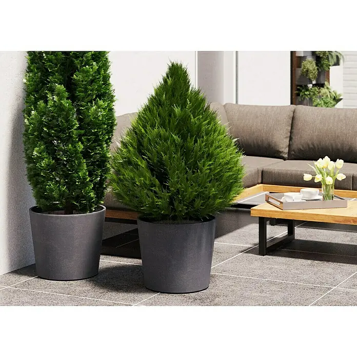 Deroma Millennium Pflanzkübel rund - Außenmaß (Ø x H): 59 x 49 cm, Aus recyceltem Kunststoff, Ashgrey - Nahaufnahme von zwei Topfpflanzen, einer säulenförmigen und einer kugelförmigen, die eine entspannende Gartenecke mit Couchtisch zieren.