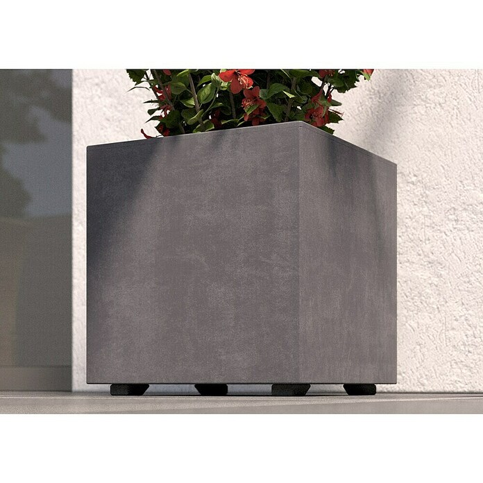 Deroma Millennium Pflanzkasten (Außenmaß (L x B x H): 39 x 39 x 39 cm, Kunststoff, Ashgrey) | BAUHAUS