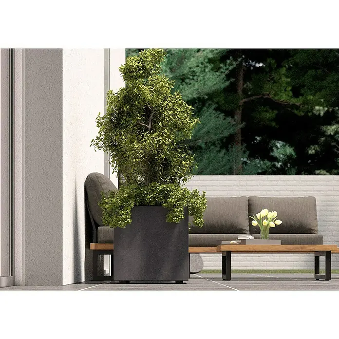 Deroma Millennium Pflanzkasten - Außenmaß (L x B x H): 49 x 49 x 49 cm, Kunststoff, Anthrazit - Ein stilvoller Außenbereich mit einem modernen grauen Pflanzgefäß, das einen üppigen Baum beherbergt und das Gesamtbild der Terrasse ergänzt.