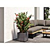 Deroma Millennium Pflanzkasten (Außenmaß (L x B x H): 39 x 39 x 39 cm, Kunststoff, Ashgrey) | BAUHAUS