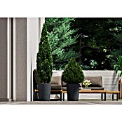 Deroma Millennium Pflanzkübel rund (Außenmaß (Ø x H): 43,5 x 53,5 cm, Kunststoff, Ashgrey, Aus recyceltem Kunststoff) | BAUHAUS