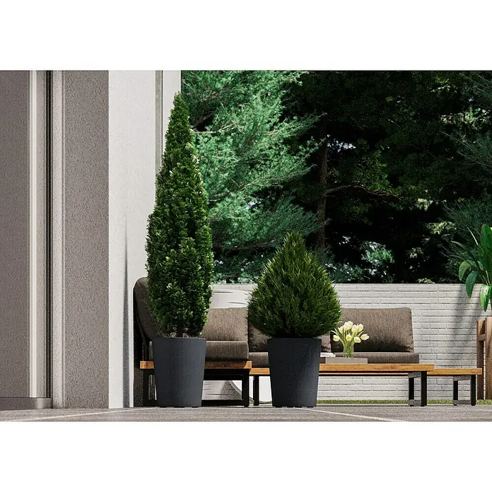 Deroma Millennium Pflanzkübel rund - Außenmaß (Ø x H): 43,5 x 53,5 cm, Aus recyceltem Kunststoff, Ashgrey - Draufsicht auf einen üppigen, immergrünen Lebensbaum und eine Eibe im Topf, ideal als elegante Terrassendekoration.